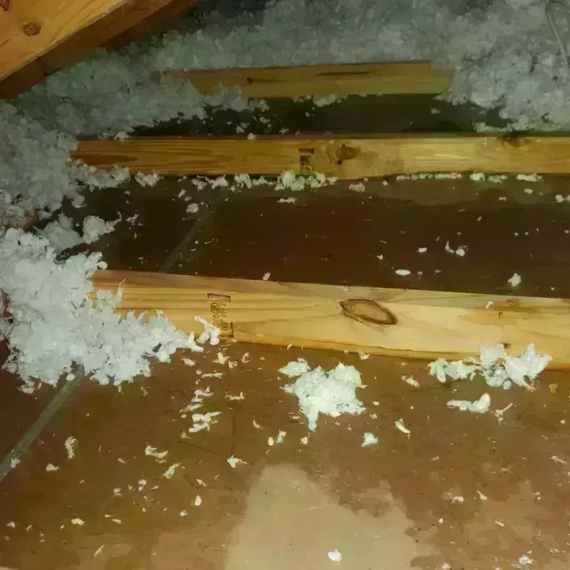 Attic Water Damage in Tecumseh, NE