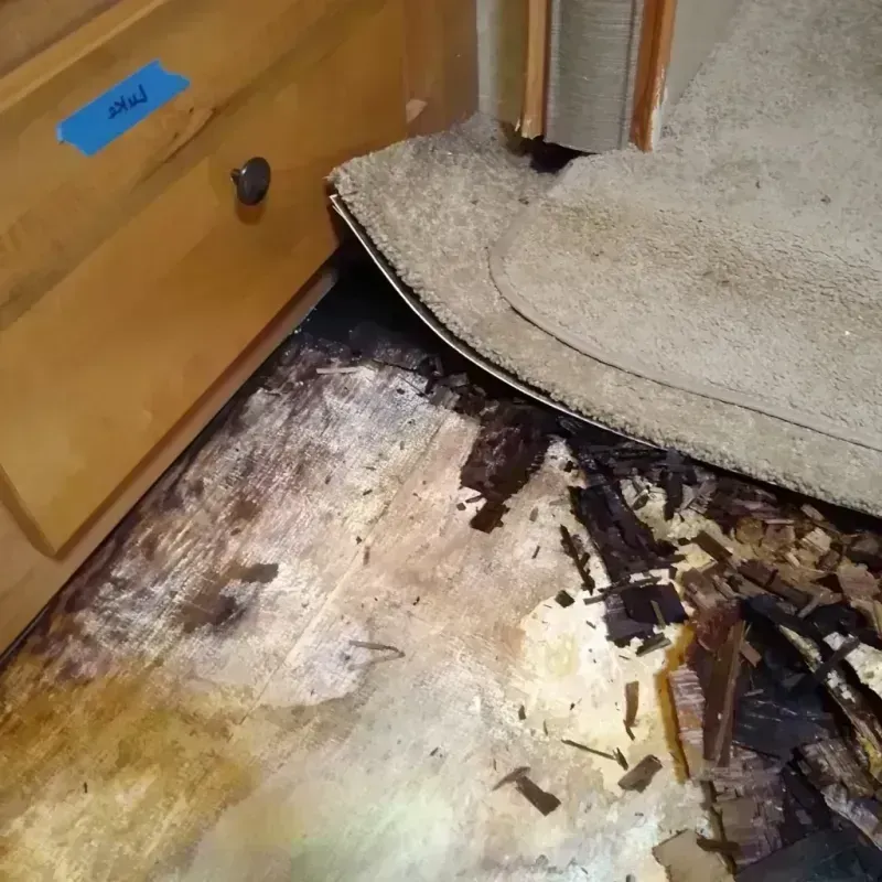 Wood Floor Water Damage in Tecumseh, NE